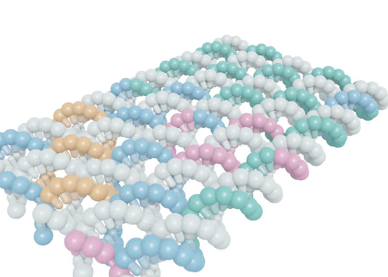 Close-up of five neighboring helices in the test sheet at nucleotide resolution. Each nucleotide is a bead, as oxDNA represents it, and staples cross between helices.